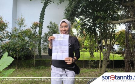 Mantan Wabup Loteng Dilaporkan Merusak Pohon, Kerugian Mencapai Ratusan Juta