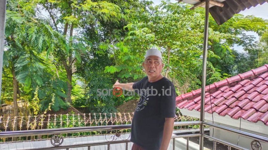 Mantan Wabup Tepis Tudingan Babat Puluhan Pohon Tanpa Permisi