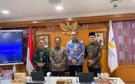 Wabup Nursiah Temui Kemensos Bahas Percepatan Implementasi Sekolah Rakyat