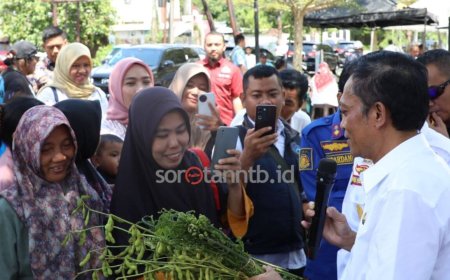 Bupati Lombok Tengah Resmikan Plaza Simpang 3 Dara, Taman Bawaq Mudah, dan RTPRA Biao