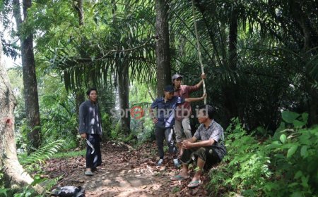 Menyelamatkan Hutan dan Menguatkan Ekonomi Lokal Bersama Amman Mineral