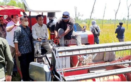 Lombok Tengah Jadi Kontributor Utama Produksi Padi NTB 2025