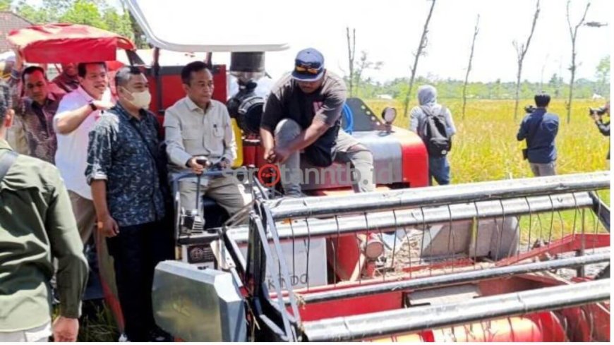 Lombok Tengah Jadi Kontributor Utama Produksi Padi NTB 2025