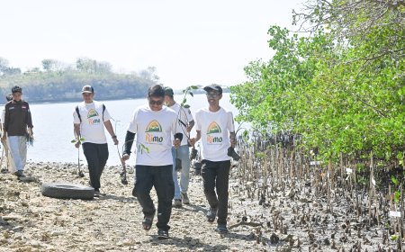 Komitmen Pelestarian Lingkungan di HUT ke-62, Bank NTB Syariah Tanam Mangrove di Paremas