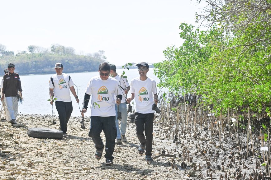 Komitmen Pelestarian Lingkungan di HUT ke-62, Bank NTB Syariah Tanam Mangrove di Paremas