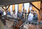 Bank NTB Syariah Dukung Desa Berdaya NTB, Salurkan Bantuan Ayam Petelur di Lombok Timur