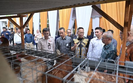 Bank NTB Syariah Dukung Desa Berdaya NTB, Salurkan Bantuan Ayam Petelur di Lombok Timur