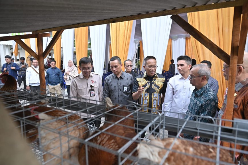 Bank NTB Syariah Dukung Desa Berdaya NTB, Salurkan Bantuan Ayam Petelur di Lombok Timur