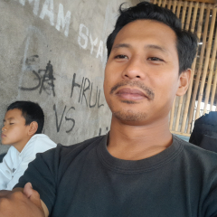Albab